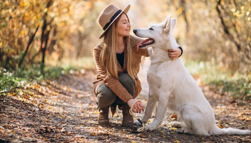 Ce Inseamna Sa Visezi Ca Animalul Tau De Companie Vorbeste Cu Tine?