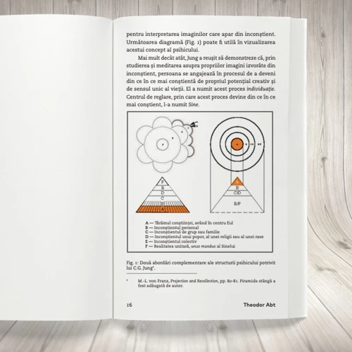 Cum Poate Ajuta Interpretarea Viselor Din Perspectiva Lui Jung În Dezvoltarea Personală