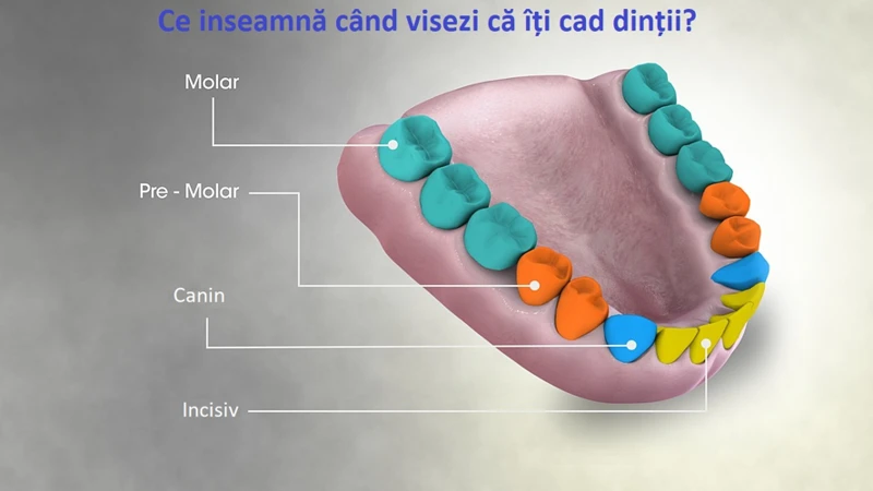 Cum Poți Evita Aceste Vise Neplăcute?