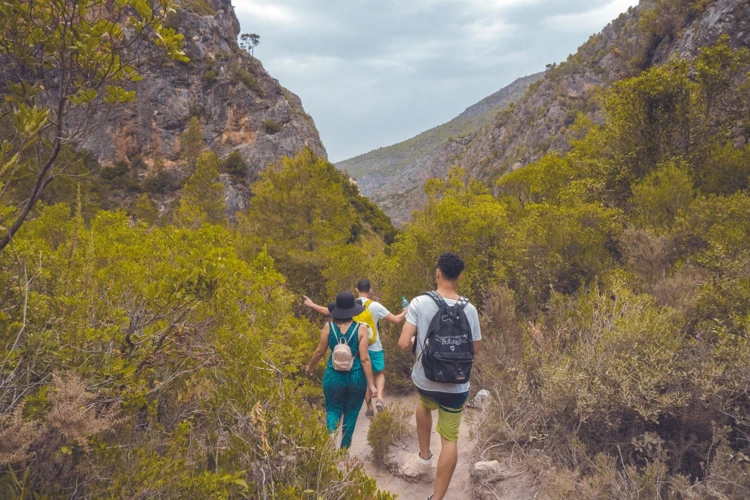 Semnificatia Visului Despre Excursie